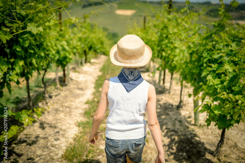 View from the back of a cute little boy walking in vineyard between the rows in a sunny summer day Kid with straw hat and blue bandana treading trough the path on the italian hills in Monferrato 