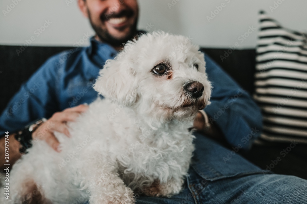 Handsome young man playing with his cute little white dog at home. Relaxed on the sofa. Lifestyle. Pet photography. Handsome young man playing with his cute little white dog at home. Relaxed on the sofa. Lifestyle. Pet photography.