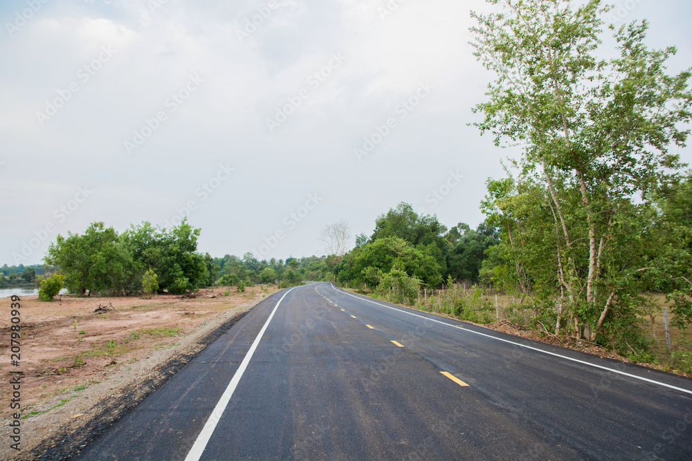 Naklejka premium Country road running through tree alley.