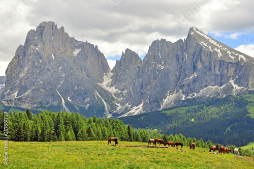 Horses in italian Alps © Arseniy Krasnevsky