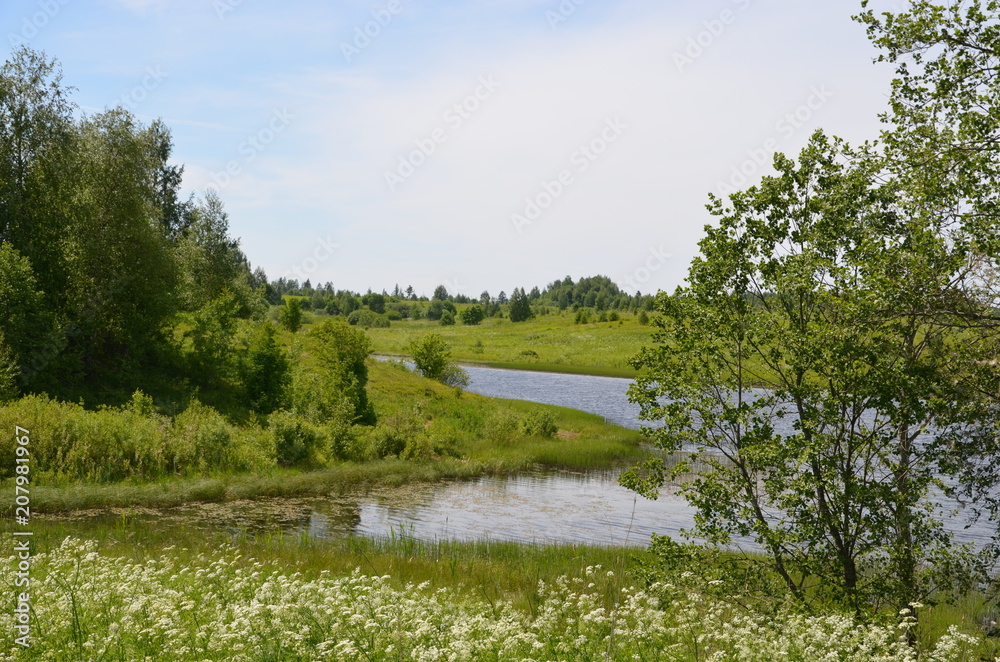 landscape Russia river forest - obrazy, fototapety, plakaty 