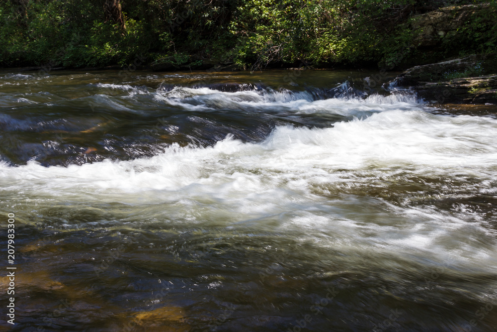 Stormy mountain river in the forest on a summer sunny day Stormy mountain river in the forest on a summer sunny day
