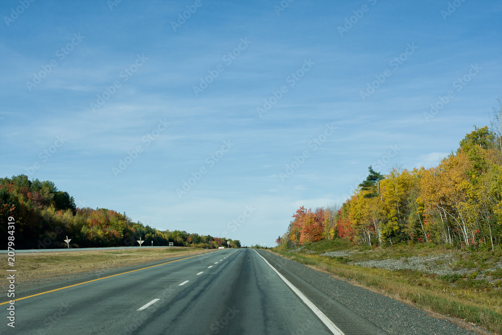Highway with a view of the deep blue sky and colourful leaves in fall/autumn
