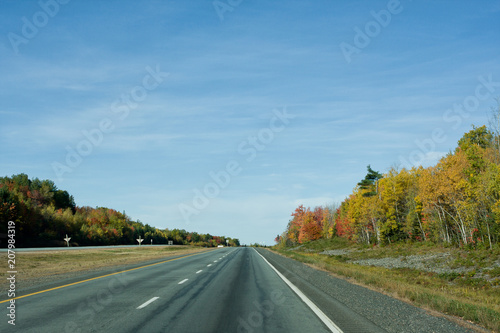 Highway with a view of the deep blue sky and colourful leaves in fall/autumn