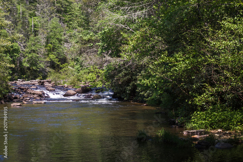 Stormy mountain river in the forest on a summer sunny day