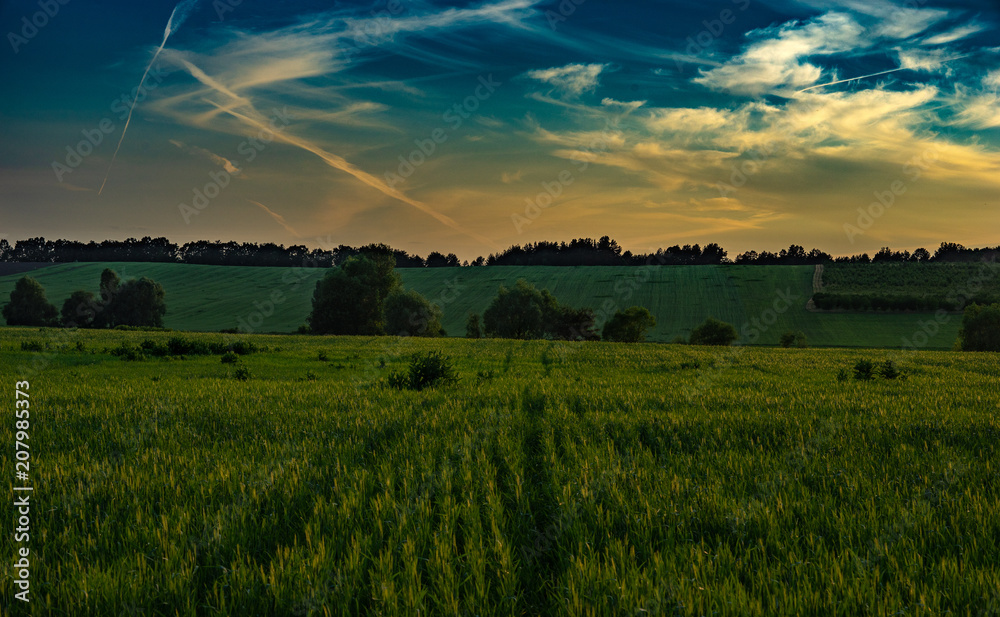 landscape. colorful evening. landscape. colorful evening.