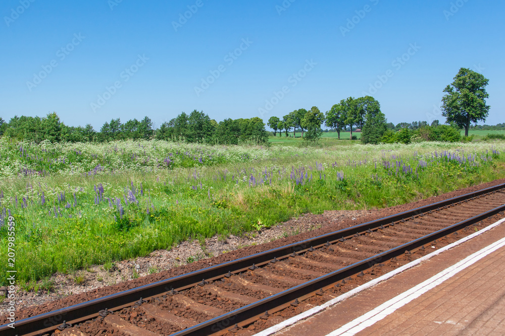 green meadow, forest and railway under blue sky