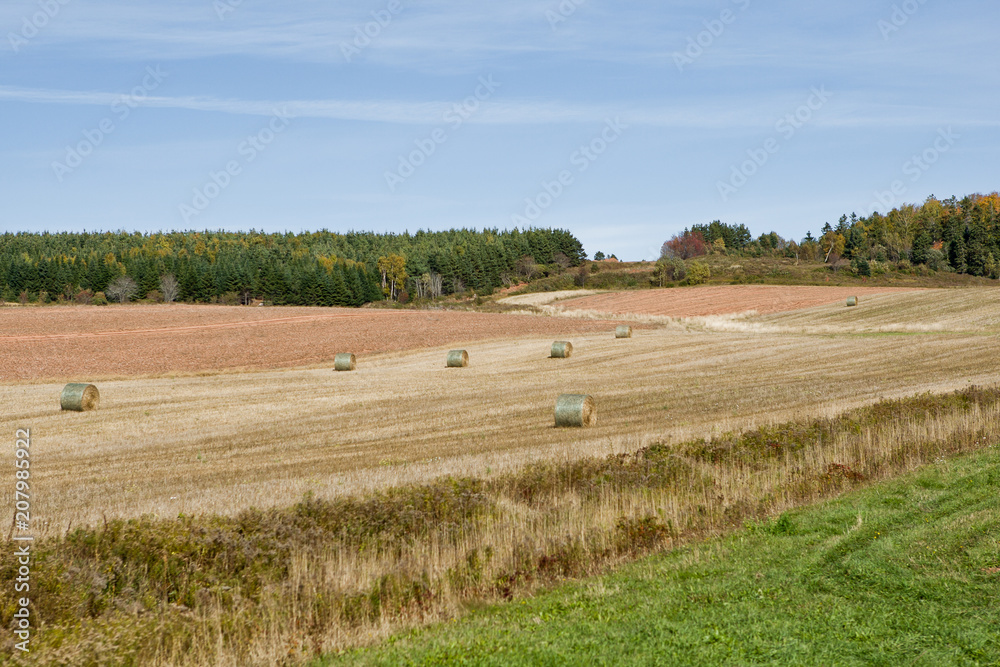 Hay Field furrowed and ready in the fall for next spring's planting
