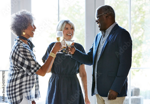 Senior friends toasting drinks at a cocktail party