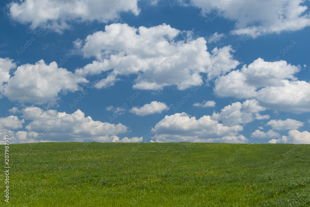 Simple landscape with green meadow and clouds on the light blue sky.