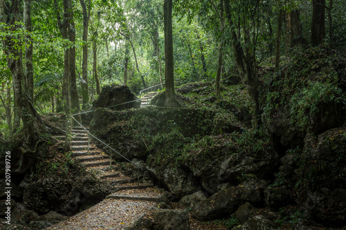 Escaleras iluminadas en un bosque oscuro