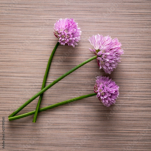Over head photo of chives flower blossoms