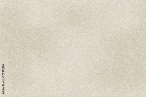Light leather texture. Vector illustration in realistic style.