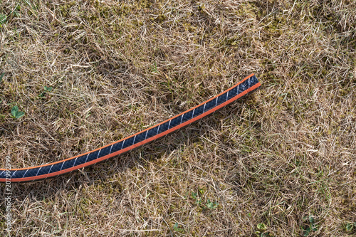 Water shortage on a hot summer day with a hose on dried up lawn, Denmark © Ditlevsen