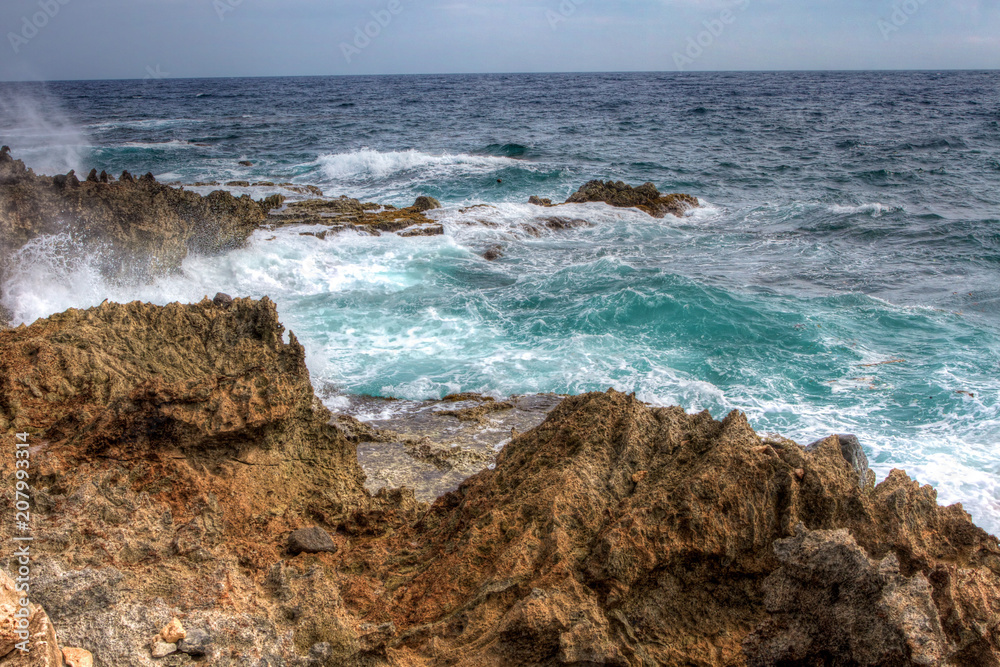 Ecological Diversity