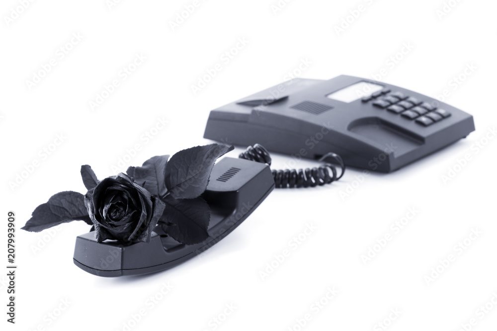 Sad message of melancholy, sadness and sorrow. Black rose and phone on white background isolated. Sad message of melancholy, sadness and sorrow. Black rose and phone on white background isolated.