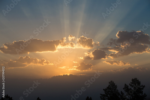 Beautiful sunrise over a vista of trees with fog and golden rays