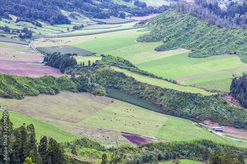 Green hilly terrain on Sao Miguel island of Azores, Portugal