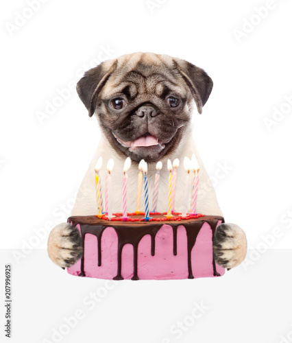 Funny puppy holding birthday cake above empty banner. isolated on white background