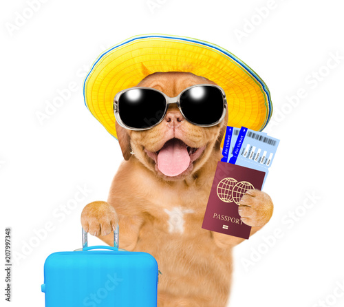 Funny puppy with summer hat and sunglasses holds suitcase, tickets and passport ready for a vacation. isolated on white background © Ermolaev Alexandr