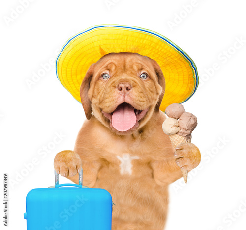 Happy puppy in summer hat holds suitcase and ice cream. isolated on white background
