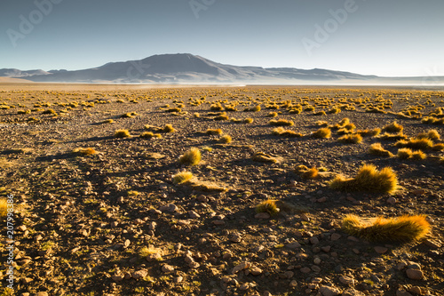wonderful stone desert on golden hour | Altiplano, Bolivia