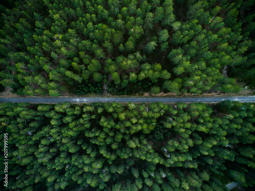 Aerial shoot of woods from Soria, Spain. photo