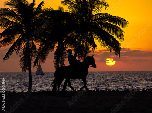 California sunset horseback riding on the beach.