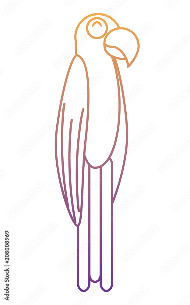 Macaw bird over white background, vector illustration Macaw bird over white background, vector illustration