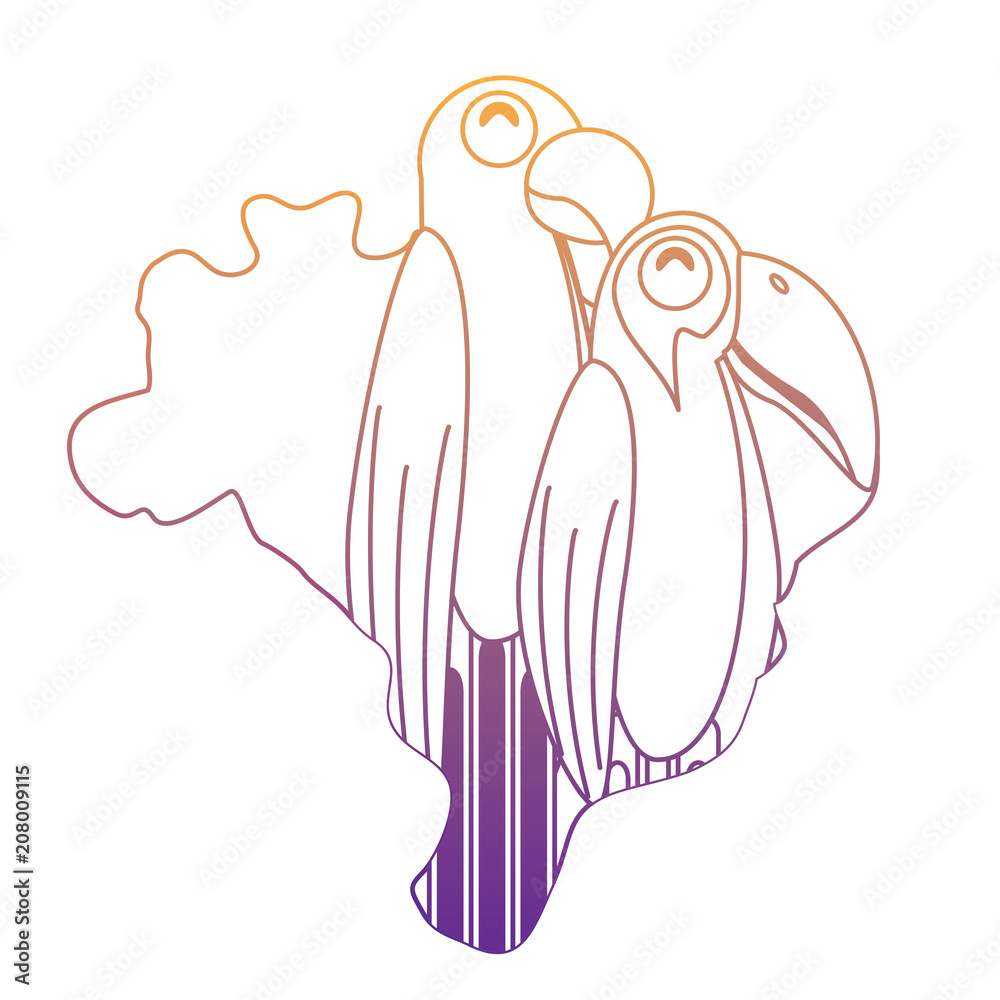 Brazil map with toucan and macaw birds over white background, vector illustration Brazil map with toucan and macaw birds over white background, vector illustration