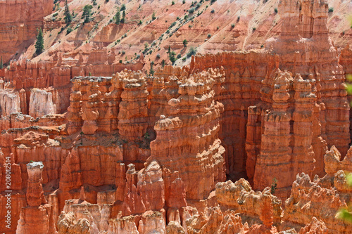 Red hoodoos in Bryce Canyon, Utah