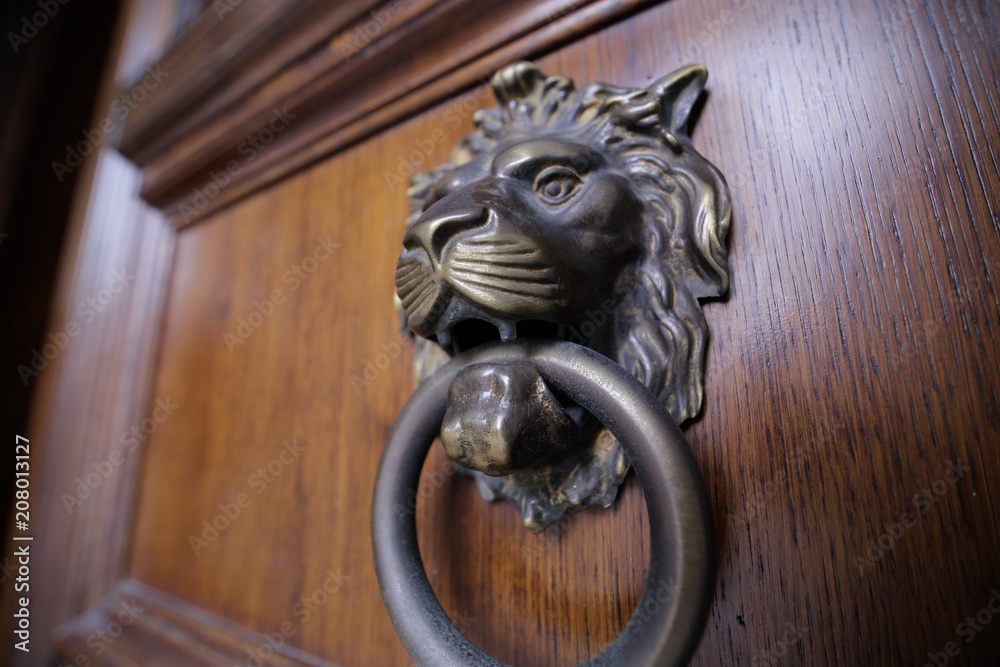 Metal lion door knocker