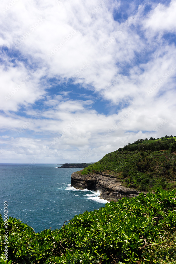 Ocean shore in Hawaii on a sunny day Ocean shore in Hawaii on a sunny day