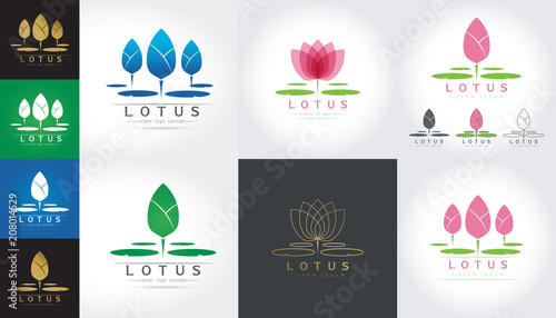 Lotus flower logo vector