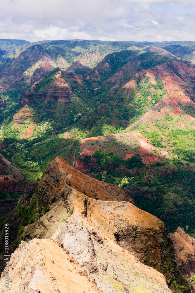 Aerial view on a sunny day over Waimea Canyon in Kauai, Hawaii - also known as The Grand Canyon of the Pacific