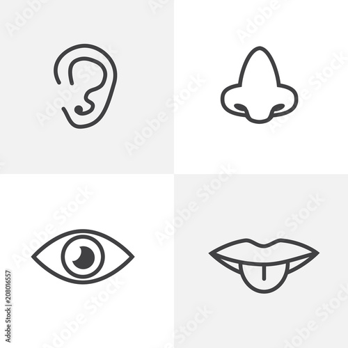 5 senses symbols