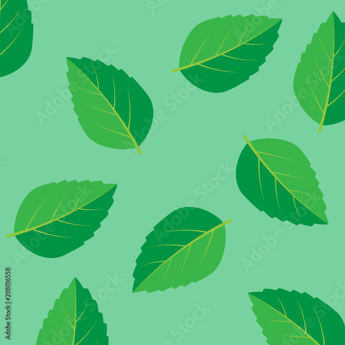 Fresh mint leaf. Mint leaves vector logo