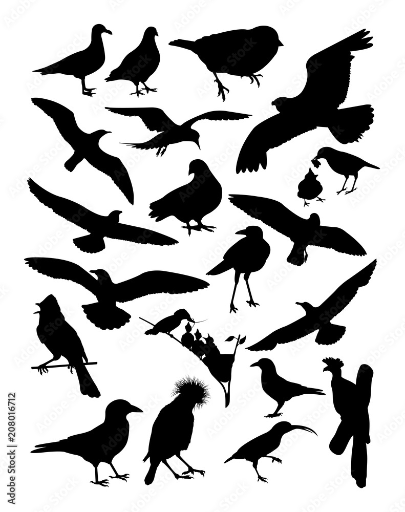 Obraz premium Silhouette of birds. Good use for symbol, logo, web icon, mascot, sign, or any design you want.