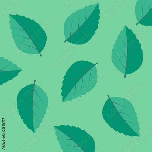 green leaf icons. Mint leaves vector logo