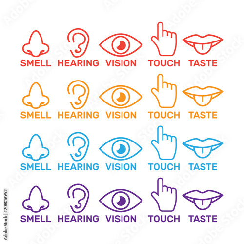 five senses icon. Sight, smell, hearing, touch, taste icons vector