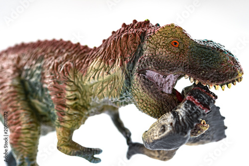 Fototapeta Naklejka Na Ścianę i Meble -  tyrannosaurus biting a dinosaur body with blood on white background close up