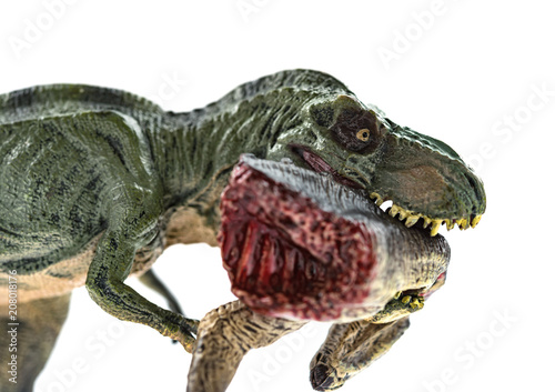 tyrannosaurus biting a dinosaur body with blood on white background close up