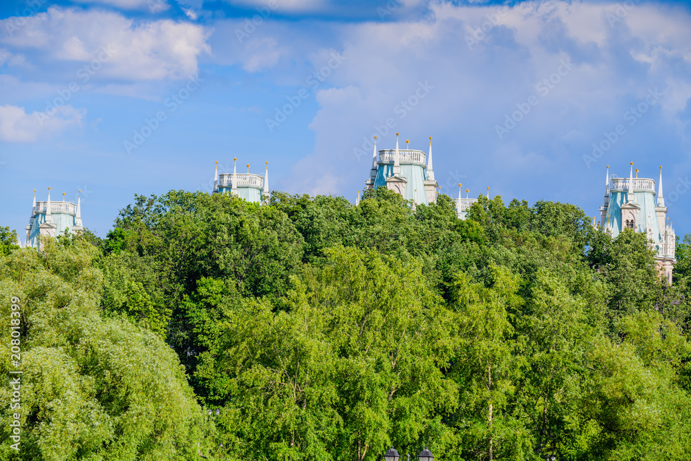 Obraz premium The famous Museum of the Reserve and the park Tsaritsyno. Moscow. Russia