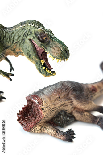 Fototapeta Naklejka Na Ścianę i Meble -  dinosaur bloody body and a tyrannosaurus at background selective focus