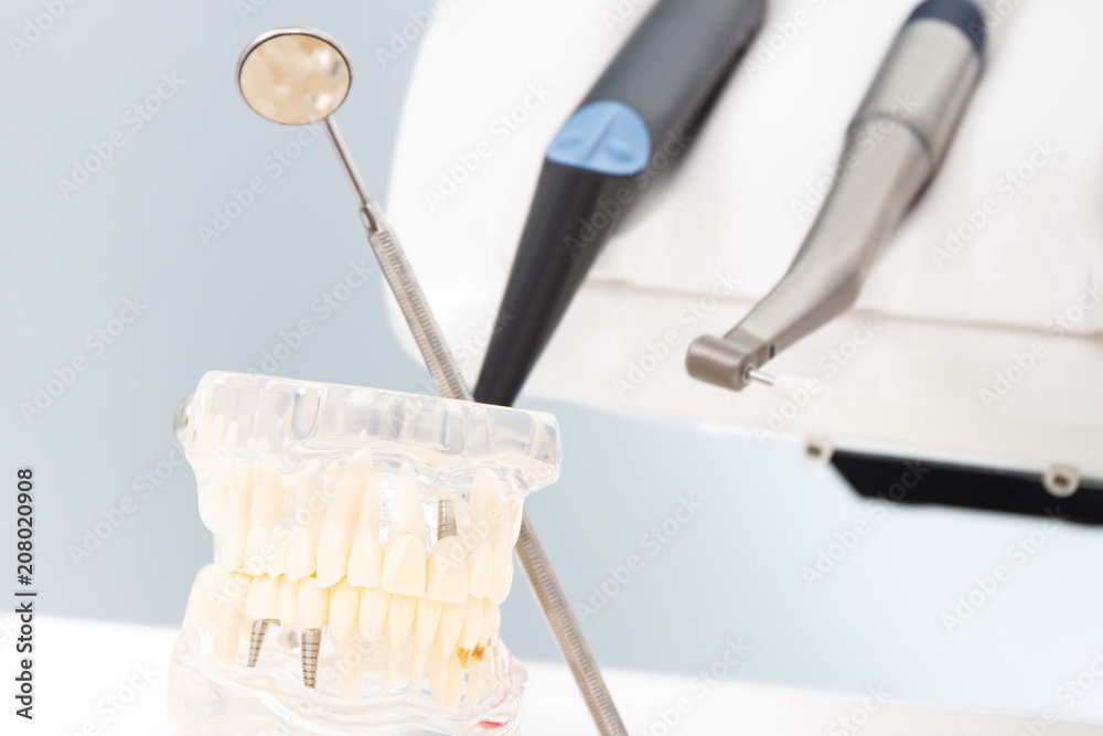 Dental jaw model, stomatology mirror and instruments used by dentists Dental jaw model, stomatology mirror and instruments used by dentists