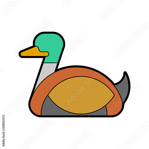 Drake duck male isolated. waterfowl bird Vector illustration