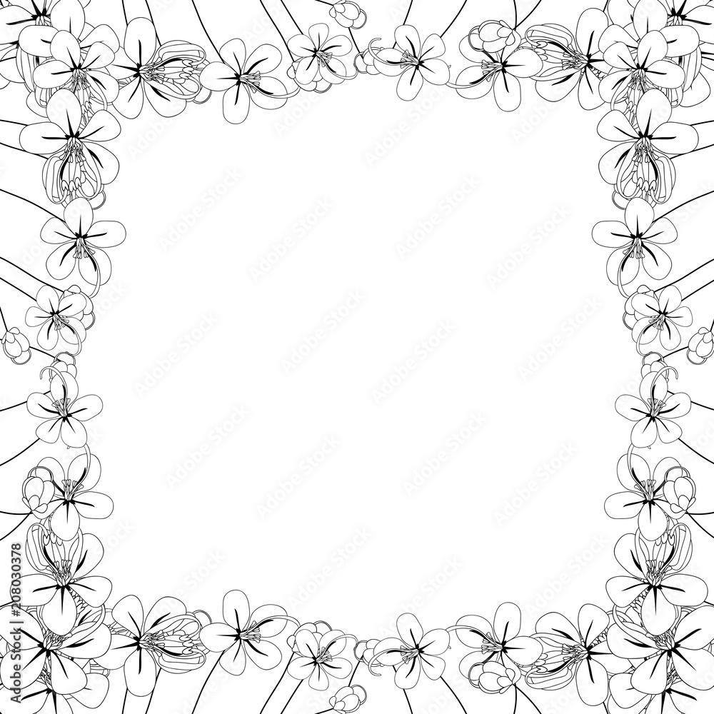 Cassia Fistula - Golden Shower Flower Outline Border