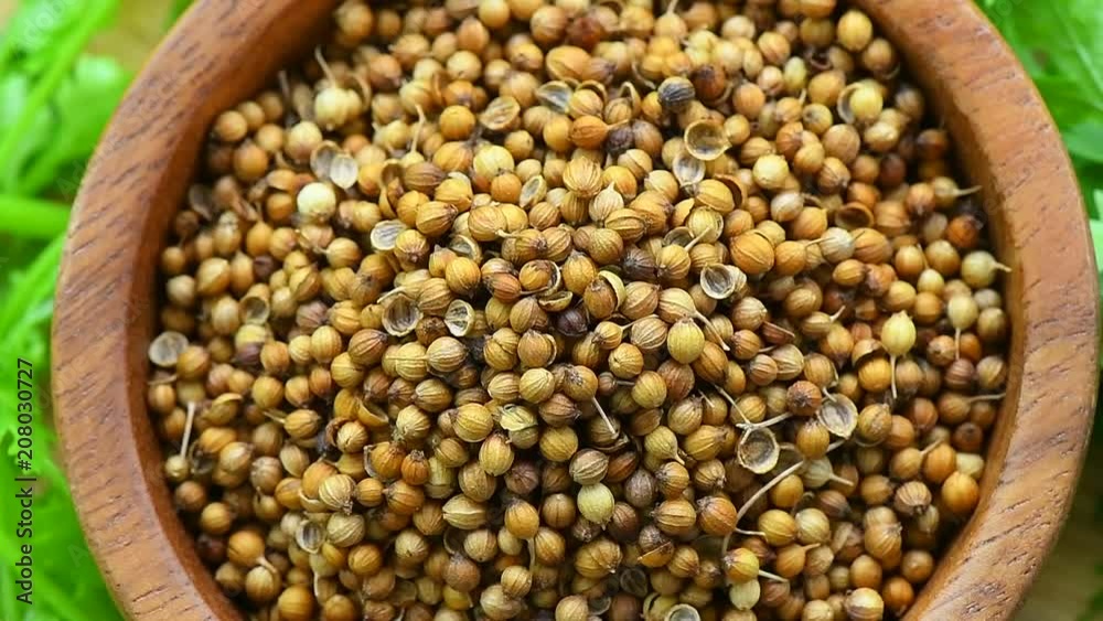 Coriander seeds rotation Coriander seeds rotation