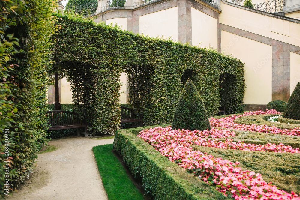 Obraz premium Cozy well-groomed park or garden with plants and flowers in Prague in the Czech Republic