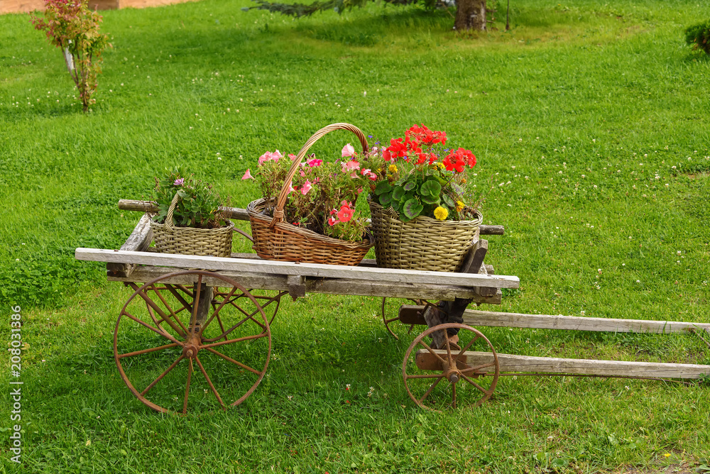 Decorative trolley with flowers on a green lawn in summer.